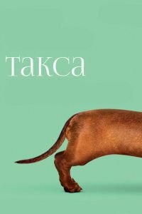   Такса (2015)