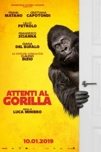   Attenti al gorilla (2019)