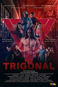   Тригонал: Борьба за справедливость (2018)