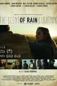   Запах дождя и молнии (2016)