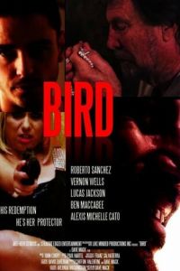   Bird (2020)