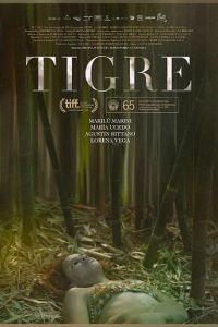   Tigre (2017)