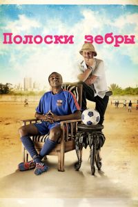 Полоски зебры (2013)