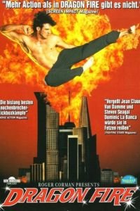 Драконов огонь (1993)