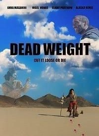    ()