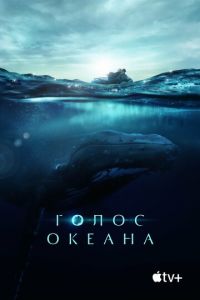   Голос океана (2021)