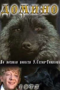 Домино (1973)