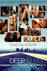 В паутине закона (2010)