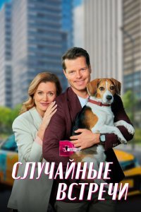  Случайные встречи (2023) 
